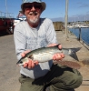 Nigel's fish caught in ireland_1